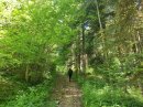 Forêt communale des Bréseux